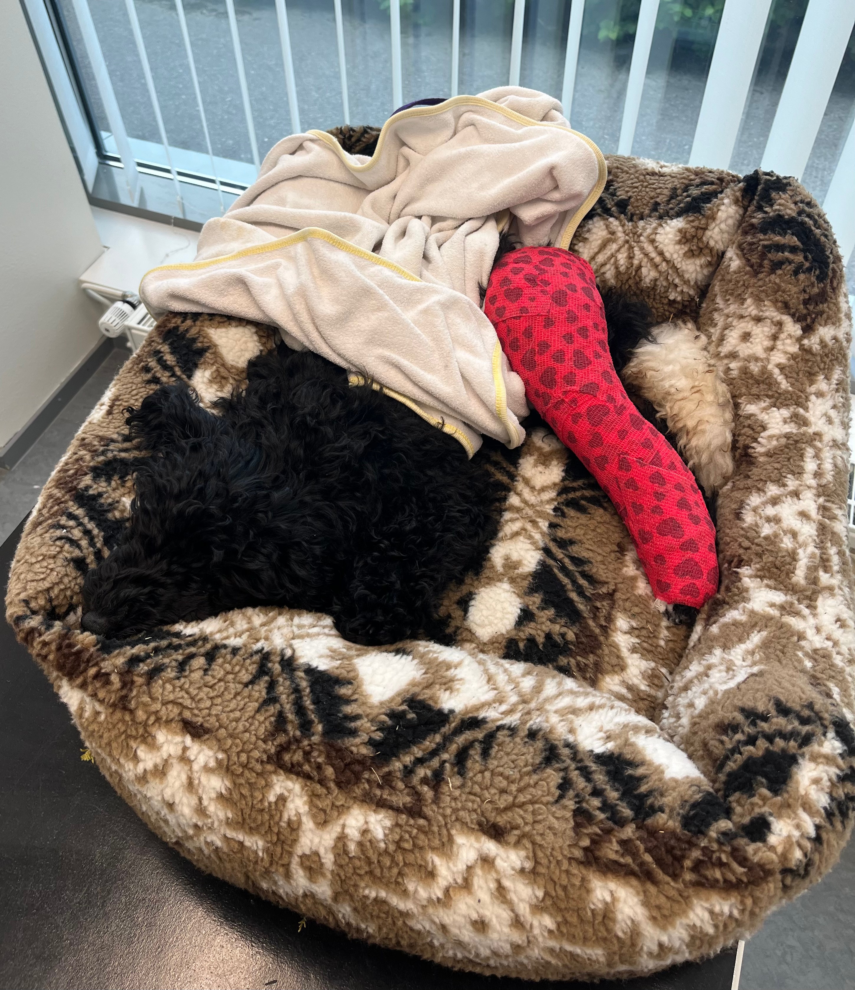 WHEN LIFE TAKES AN UNEXPECTED TURN